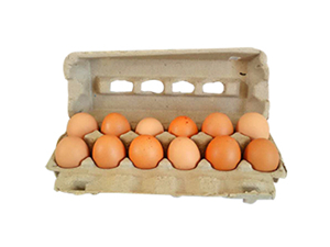 山东10枚鸡蛋蛋盒